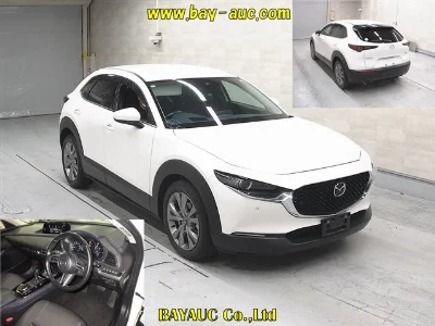 catalog-car-6
