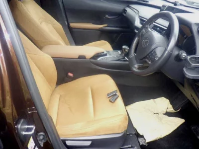 Lexus UX250h