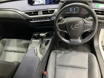 Lexus UX250h