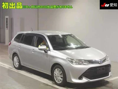 Toyota Corolla Fielder