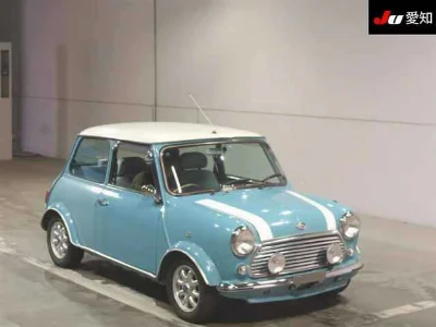 Rover MINI
