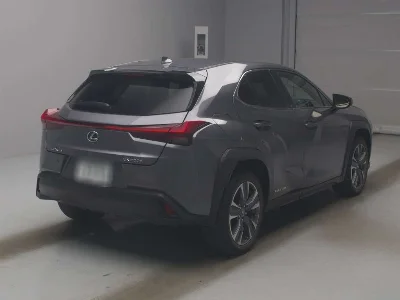 Lexus UX300e