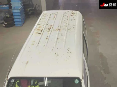 Mitsubishi Delica Van