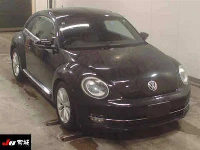 VOLKSWAGEN THE BEETLE