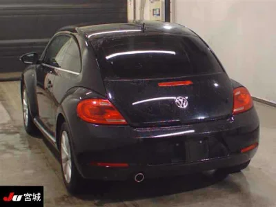 VOLKSWAGEN THE BEETLE