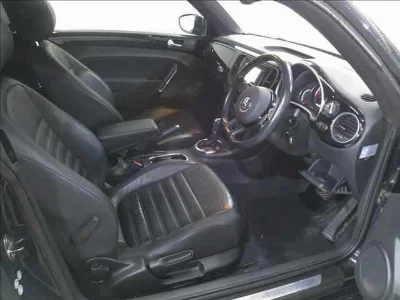 VOLKSWAGEN THE BEETLE