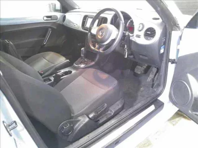 VOLKSWAGEN THE BEETLE