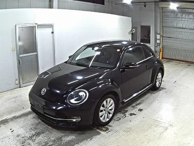 VOLKSWAGEN THE BEETLE