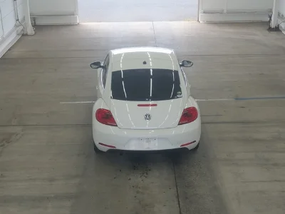 VOLKSWAGEN THE BEETLE