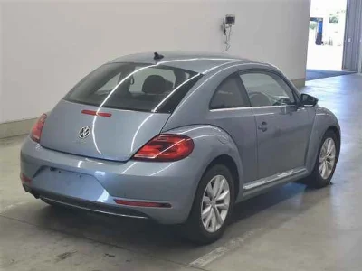 VOLKSWAGEN THE BEETLE
