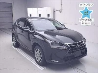 Lexus NX300h