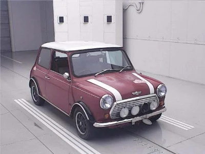 ROVER MINI