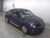 VOLKSWAGEN THE BEETLE