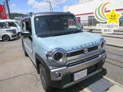 SUZUKI HUSTLER