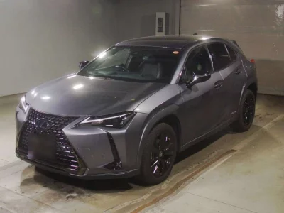 LEXUS HS