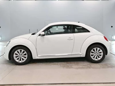 VOLKSWAGEN THE BEETLE