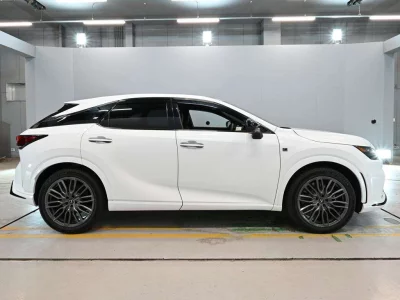 Lexus RX500h