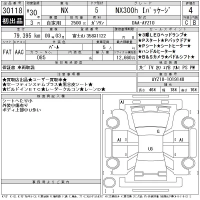 Lexus NX300h