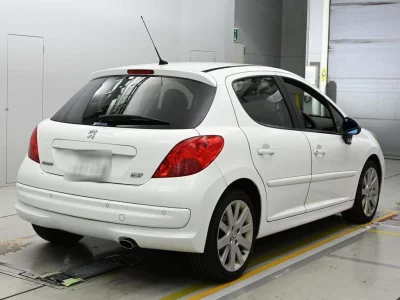 PEUGEOT 207