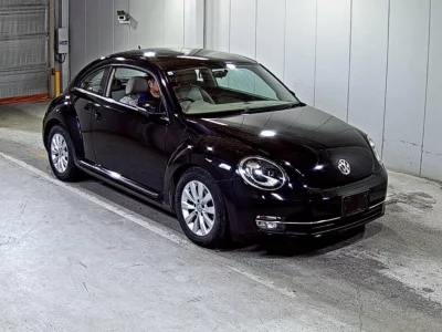 VOLKSWAGEN THE BEETLE