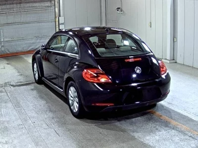 VOLKSWAGEN THE BEETLE