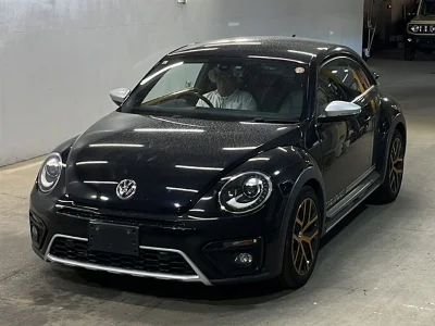 VOLKSWAGEN THE BEETLE
