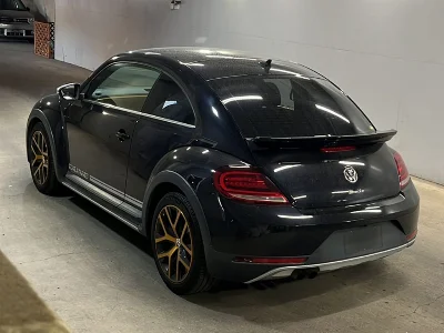 VOLKSWAGEN THE BEETLE
