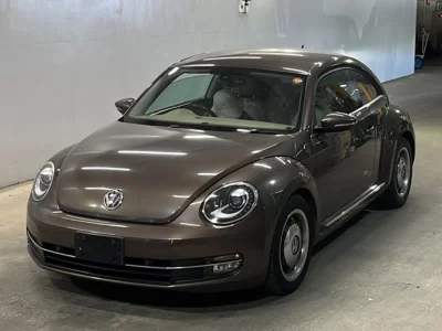VOLKSWAGEN THE BEETLE