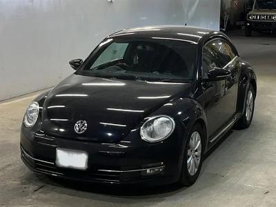 VOLKSWAGEN THE BEETLE