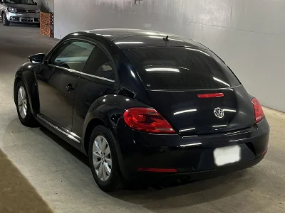 VOLKSWAGEN THE BEETLE