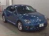 VOLKSWAGEN THE BEETLE