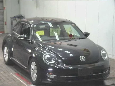 VOLKSWAGEN THE BEETLE