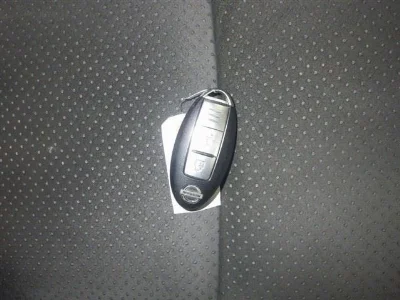 NISSAN DUALIS