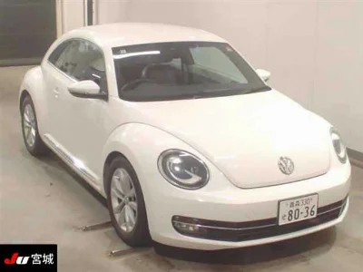 VOLKSWAGEN THE BEETLE