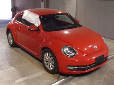 VOLKSWAGEN THE BEETLE