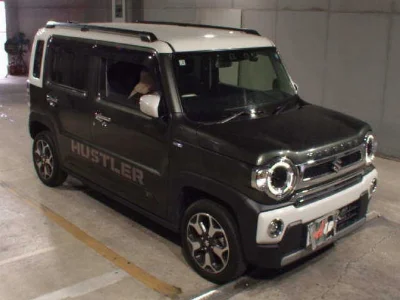 SUZUKI HUSTLER
