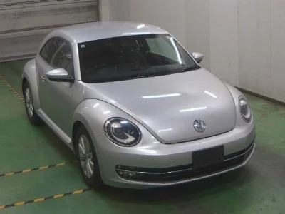 VOLKSWAGEN THE BEETLE