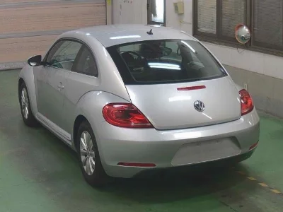 VOLKSWAGEN THE BEETLE