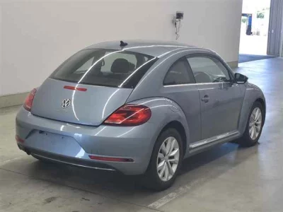 VOLKSWAGEN THE BEETLE