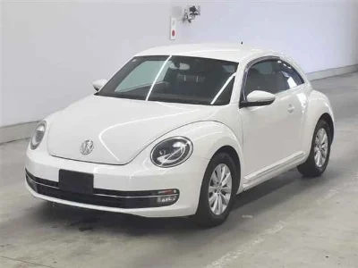 VOLKSWAGEN THE BEETLE