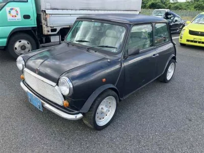 ROVER MINI