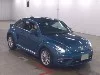 VOLKSWAGEN THE BEETLE