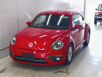 VOLKSWAGEN THE BEETLE