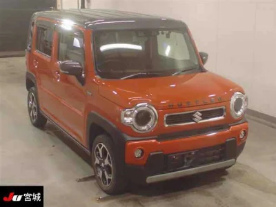 SUZUKI HUSTLER