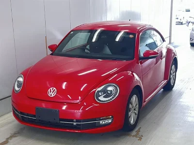 VOLKSWAGEN THE BEETLE