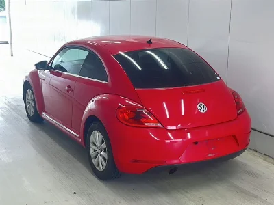 VOLKSWAGEN THE BEETLE