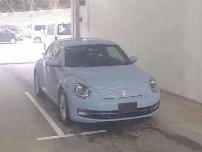 VOLKSWAGEN THE BEETLE