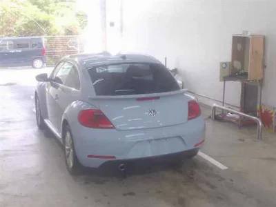 VOLKSWAGEN THE BEETLE