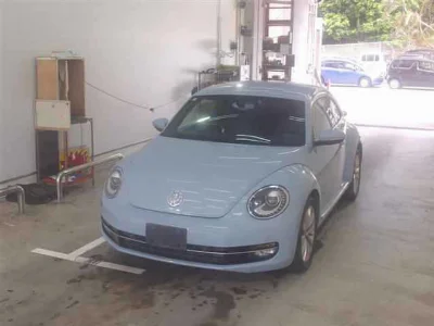 VOLKSWAGEN THE BEETLE