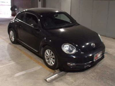 VOLKSWAGEN THE BEETLE